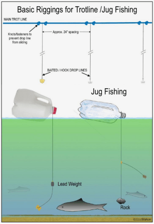 Fishing without a Pole
