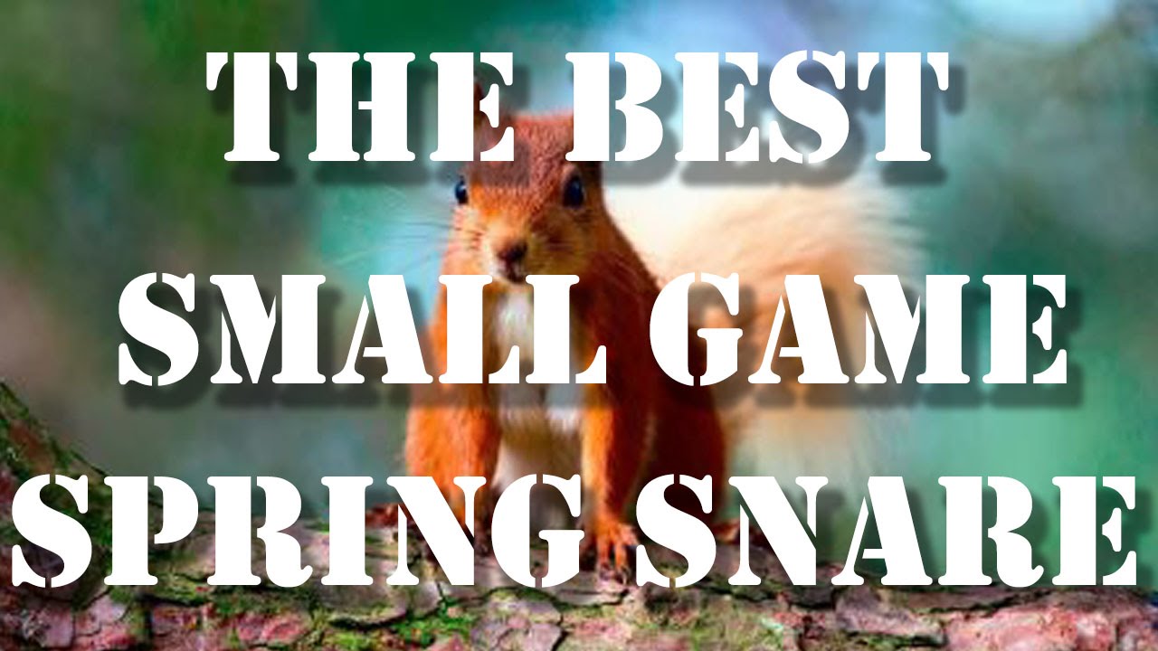 How to make a t bar spring snare | The Campus